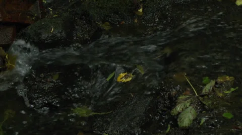 Stream Flowing Over and Around Rocks Stock Footage 25378231