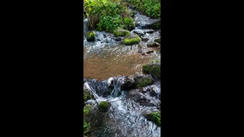 Stream flowing over mossy rocks surrounded by lush green vegetation Video stock 286402624
