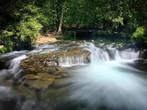Stream flowing over rocks in a forest with green trees Stock Photos