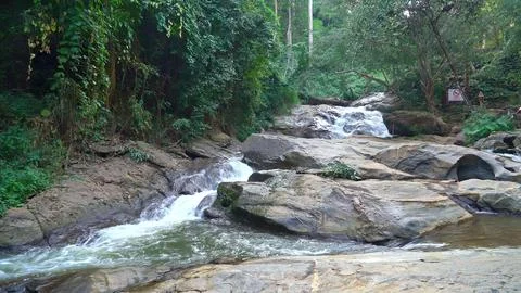 Stream flowing over rocks in a lush green forest Stock Photos