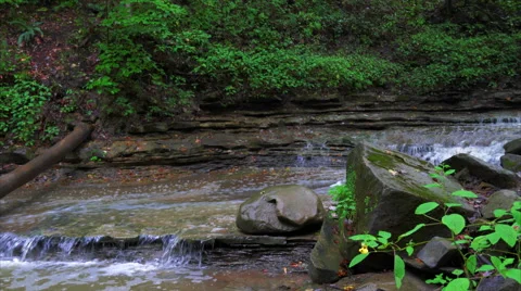 Stream flowing over rocks past rocks Stock Footage 54564691
