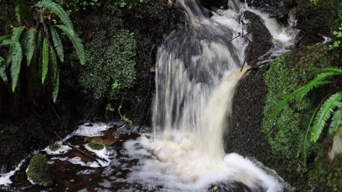 Stream Flowing Over Rocks, Teesdale, North Pennines, UK Stock Footage 247490460