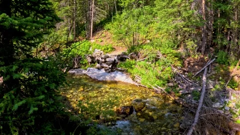 Stream flowing over rocks in the woods Stock Footage 282539632
