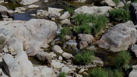Stream flowing over stones through grass Stock Footage 141558941