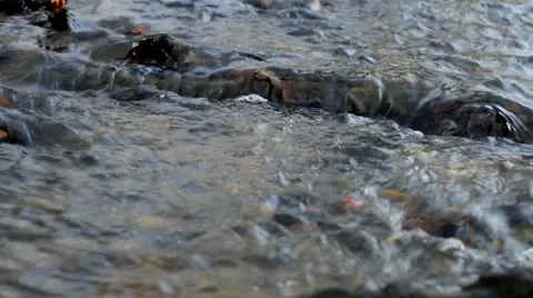 Stream flowing over wood in water Stock Footage