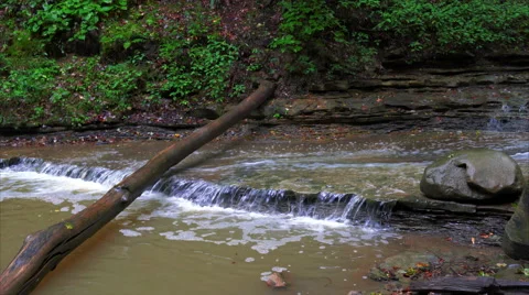 Stream flowing past dead tree in stream Stock Footage 54564574