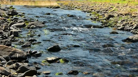The stream flowing on pebble background with sunny. Stock Footage 108123434