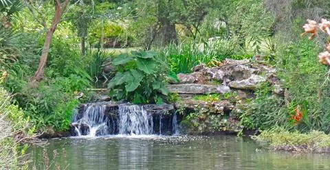 Stream Flowing into the Pond Stock Photos