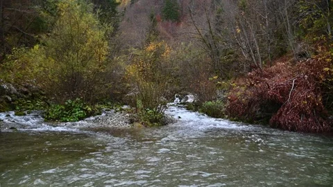 Stream flowing in pristine nature Stock Footage 170006962