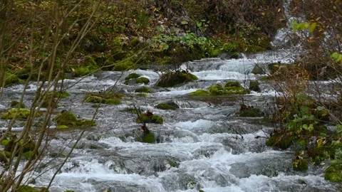 Stream flowing in pristine nature Stock Footage 184080733