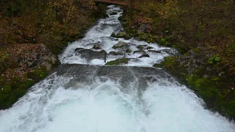 Stream flowing in pristine nature Stock Footage 184081646