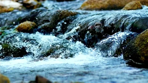 Stream of flowing river in the evening light Stock Footage 74783855