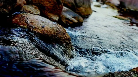 Stream of flowing river in the evening light Stock Footage 74783865