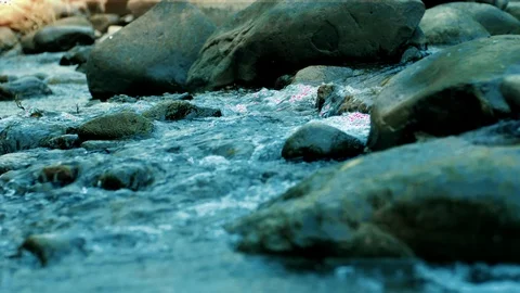 Stream Of Flowing River Stream In The Evening Light 動画素材 120373595