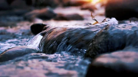 Stream Of Flowing River Stream In The Evening Light Vidéo 120373818