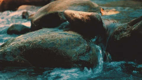 Stream Of Flowing River Stream In The Evening Light Stock Footage 120374657