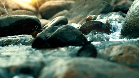 Stream Of Flowing River Stream In The Evening Light Stock-Footage 120374769