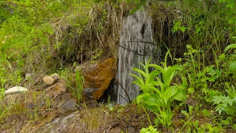 Stream flowing into riverbank Stock Footage 73312679