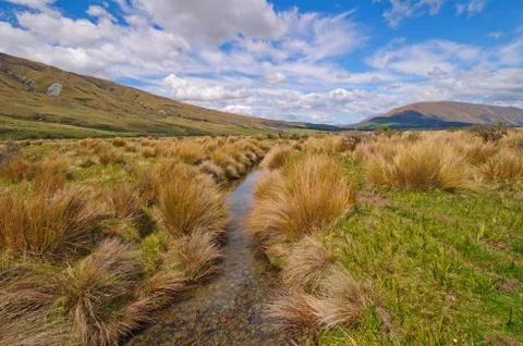 Stream flowing though a mountain meadow Stockfoto's