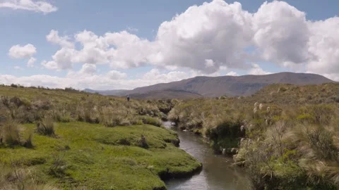 Stream flowing through Andean paramo in Ecuador 库存影片 311259352