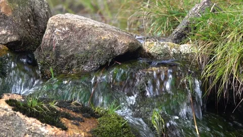 A stream flowing through a beautiful landscape. Stones in the stream. Stock Footage 146372059