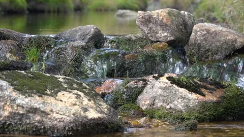 A stream flowing through beautiful nature in the Czech Republic Stock Footage 146372006