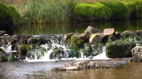A stream flowing through beautiful nature in the Czech Republic Stock Footage 146372067