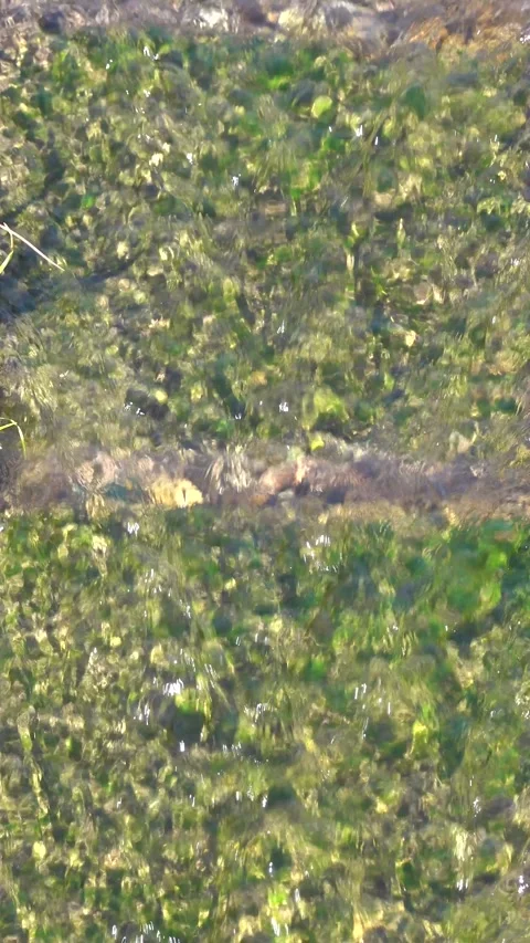 Stream flowing through a concrete chute into a lake Stock Footage 270173641