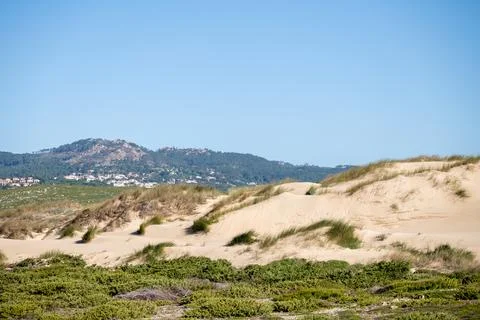 Stream flowing through dune vegetation at Guincho Foto stock