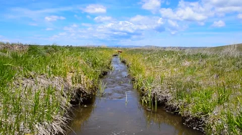 Stream Flowing Through Feild Stock Footage 50543721