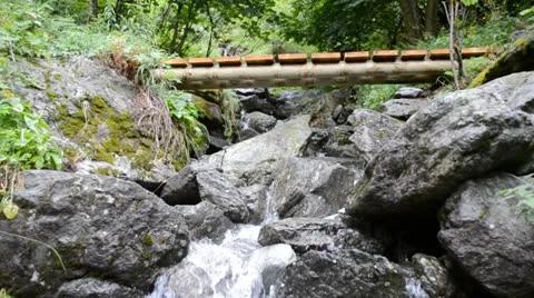 Stream flowing through forest Stock Footage 24185077