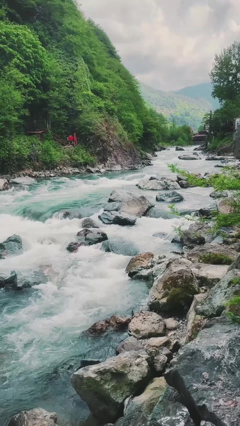 A stream flowing through the forest Stock Footage 281737188