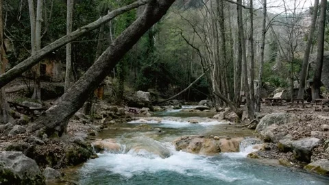 A Stream Flowing Through The Forest In Winter Stock Footage 245289145
