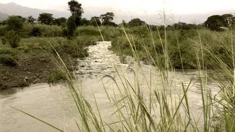 Stream flowing through a grassy landscape in slow motion Stock Footage 81227280