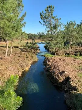 Stream flowing through a green park with trees and blue sky Stock Photos