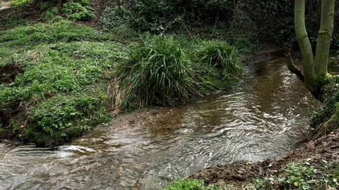  A stream flowing through Knighton Park Wigston, Leicestershire, UK Stock Footage 236698985
