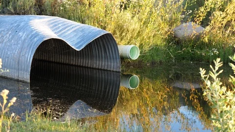 Stream flowing through metal culvert in wetlands Stock Footage 91874050