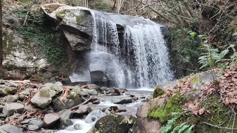Stream flowing through a mountain forest in Tuscany, Italy. Stock Footage 231640771