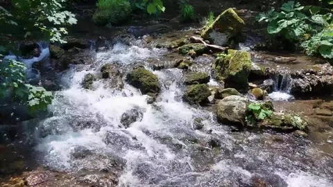 Stream flowing through nature 스톡 동영상 244011741