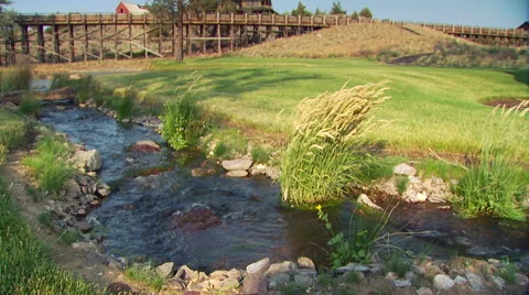 Stream flowing through ranch Stock Footage 57815663