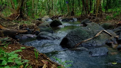 Stream Flowing through a rock covered with moss in rainforest of Koh yao yai, Stock Footage 119118819