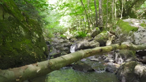 Stream flowing through the rocks. Stock-Footage 212589383