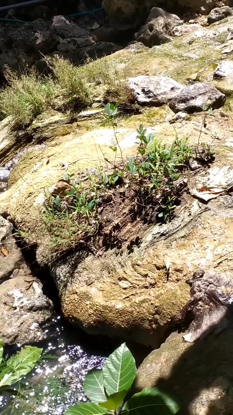 Stream Flowing Through Rocks Stock Footage 331070578