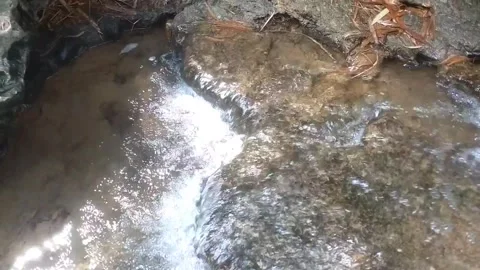 Stream Flowing Through Rocky Terrain Stock Footage 334590290