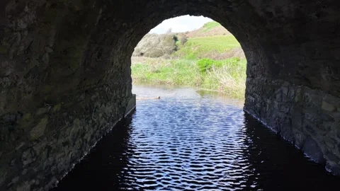 Stream Flowing Through Stone Tunnel and Grassy Landscape 4K 库存影片 333933435