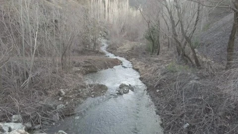Stream flowing through stones and trees Stockbeeldmateriaal 170607622