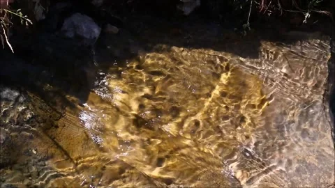 A stream flowing through stones Stock Footage 162579127