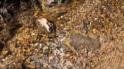 A stream flowing through stones Stock Footage 162579352