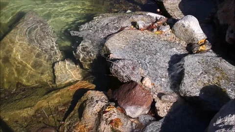 A stream flowing through stones Stock Footage 162579465
