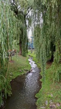 Stream flowing through trees at an amusement park Stock Photos